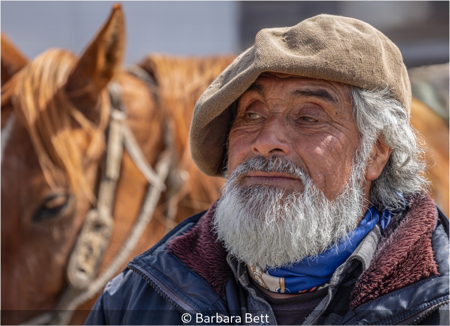 Gaucho