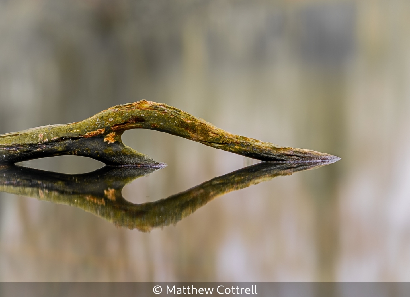 Loves reflection