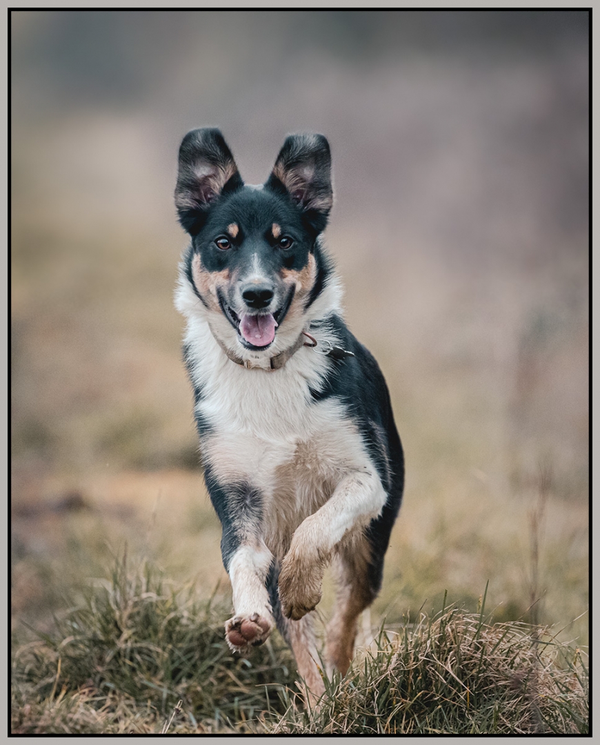 Tilly