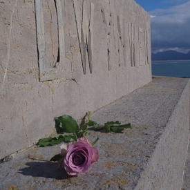 Commended - A Rose For Delilah