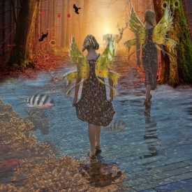A Walk in the Woods