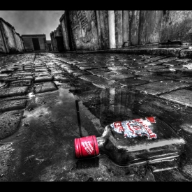 Commended - After the Rain