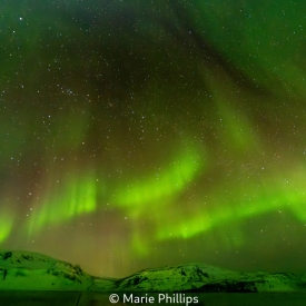AURORA