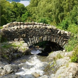 Commended - Bridge over trickling water