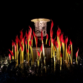 Commended - Chihuly's Paintbrushes