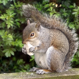 Commended - Enjoying a meal