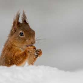 2nd - Get off my nuts