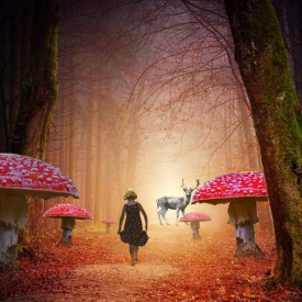 Commended - Girl's dream of walking in a forest