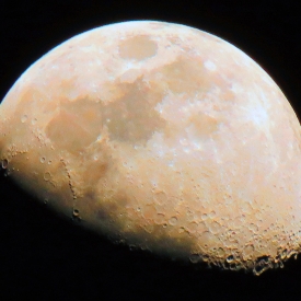 Commended - Half Moon