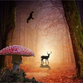 Commended - In the Gloaming