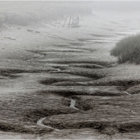 Low Tide