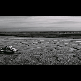 2nd - Low Tide