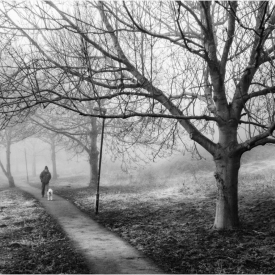 Morning Walk