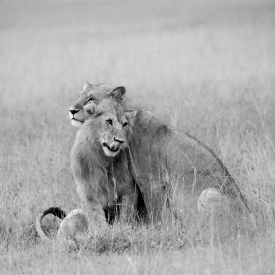 Commended - Mother and son