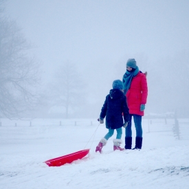 3rd - My Red Sledge