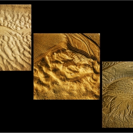 3rd - Natures Patterns