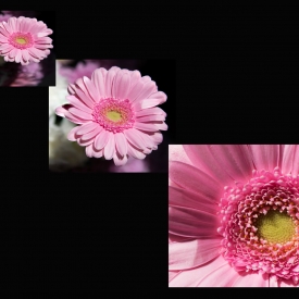 Highly Commended - Perspective - Zoom In
