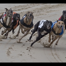 Highly Commended - Racing round the bend