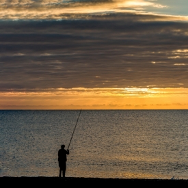 Highly Commended - Solitude