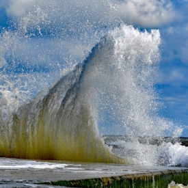 Highly Commended - Splash