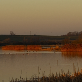Commended - Sunlight Reflection During Sunset
