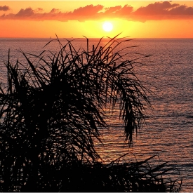 Highly Commended - Sunset from Adeje
