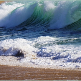 Commended - Surfs Up