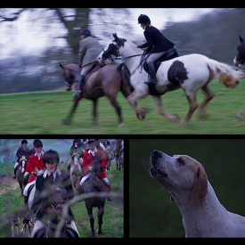 Highly Commended - The Thrill of the Chase