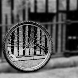 Commended - The Wheel