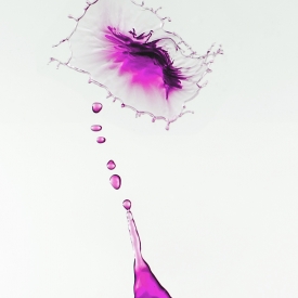 Highly Commended - Water Flower