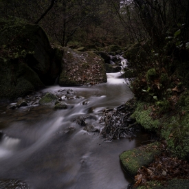 Highly Commended - Wyming Brook